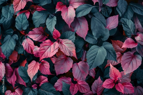 beautiful leaves for the background - generative ai