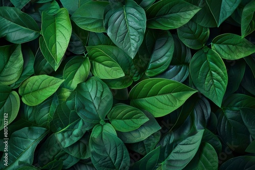 beautiful leaves for the background - generative ai