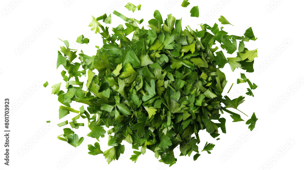 Obraz premium Dry parsley leaves