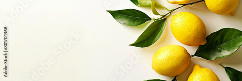Copy space with lemon and branches and leaves as decoration.