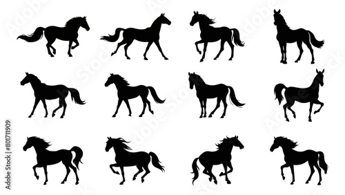 Silhouette of horse illustration