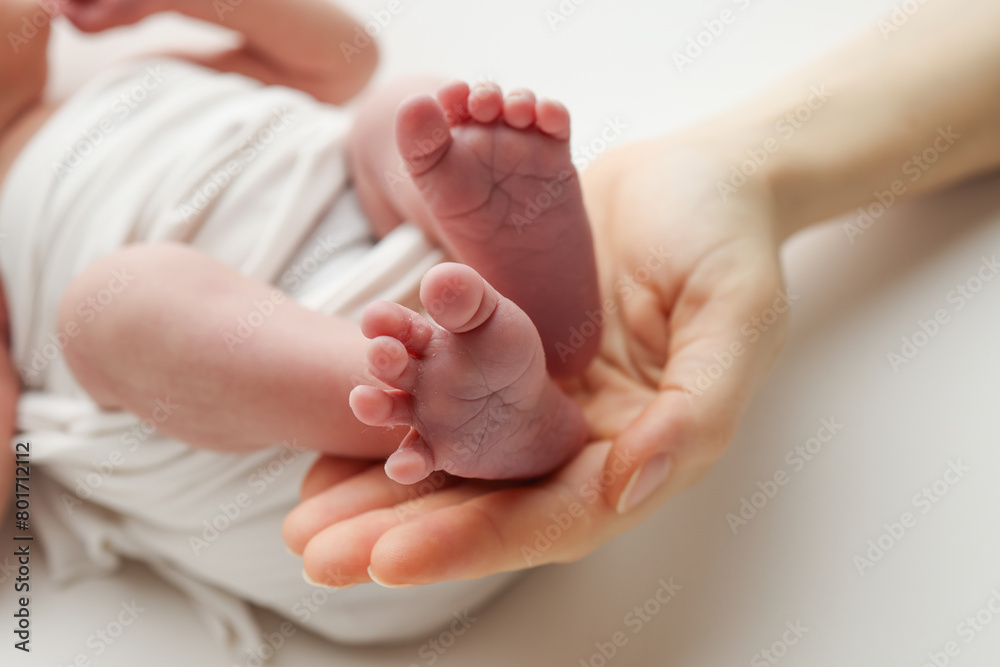 The palms of the father, the mother are holding the foot of the newborn baby in a white blanket. Feet of the newborn on the palms of the parents. Studio macro photo of a child's toes, heels and feet The palms of the father, the mother are holding the foot of the newborn baby in a white blanket. Feet of the newborn on the palms of the parents. Studio macro photo of a child's toes, heels and feet