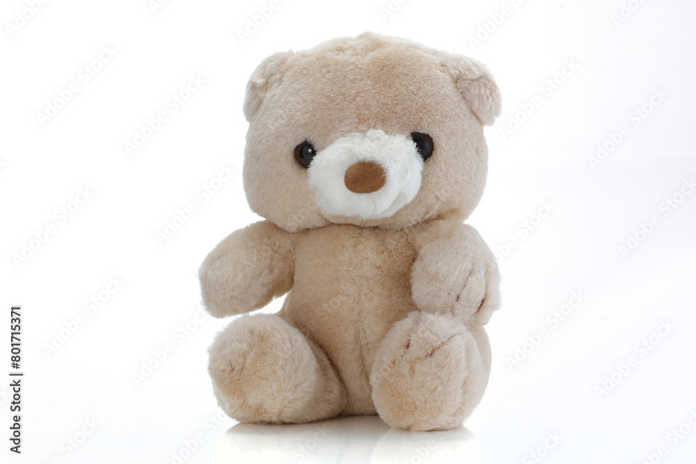 Brown Teddy Bear on white