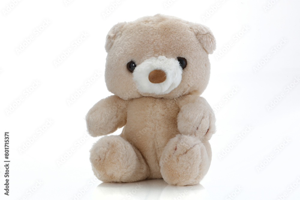 Brown Teddy Bear on white Brown Teddy Bear on white