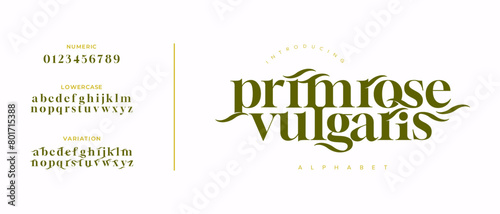 Primrose Elegant Font Uppercase Lowercase and Number. Classic Lettering Minimal Fashion Designs. Typography modern serif fonts regular decorative vintage concept. vector illustration