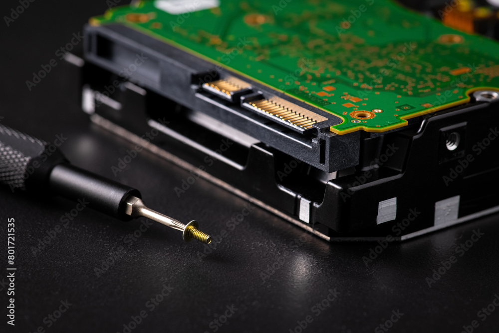 Hard disk drive and printed circuit board with SATA power connector. Magnetic driver torx bit and small machine screw Hard disk drive and printed circuit board with SATA power connector. Magnetic driver torx bit and small machine screw