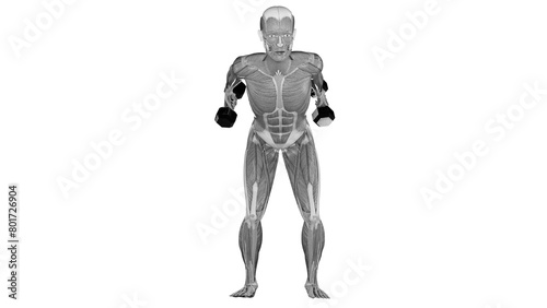 Dumbbell triceps Kickback - front view 1