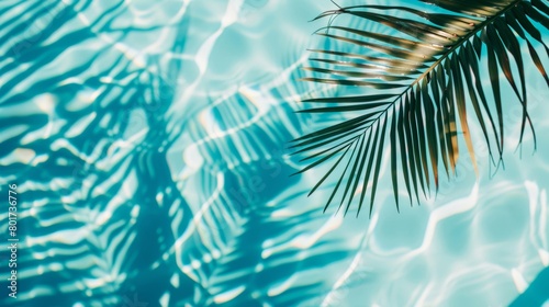 A serene close-up of a palm leaf's shadow cast upon the shimmering blue pool water.