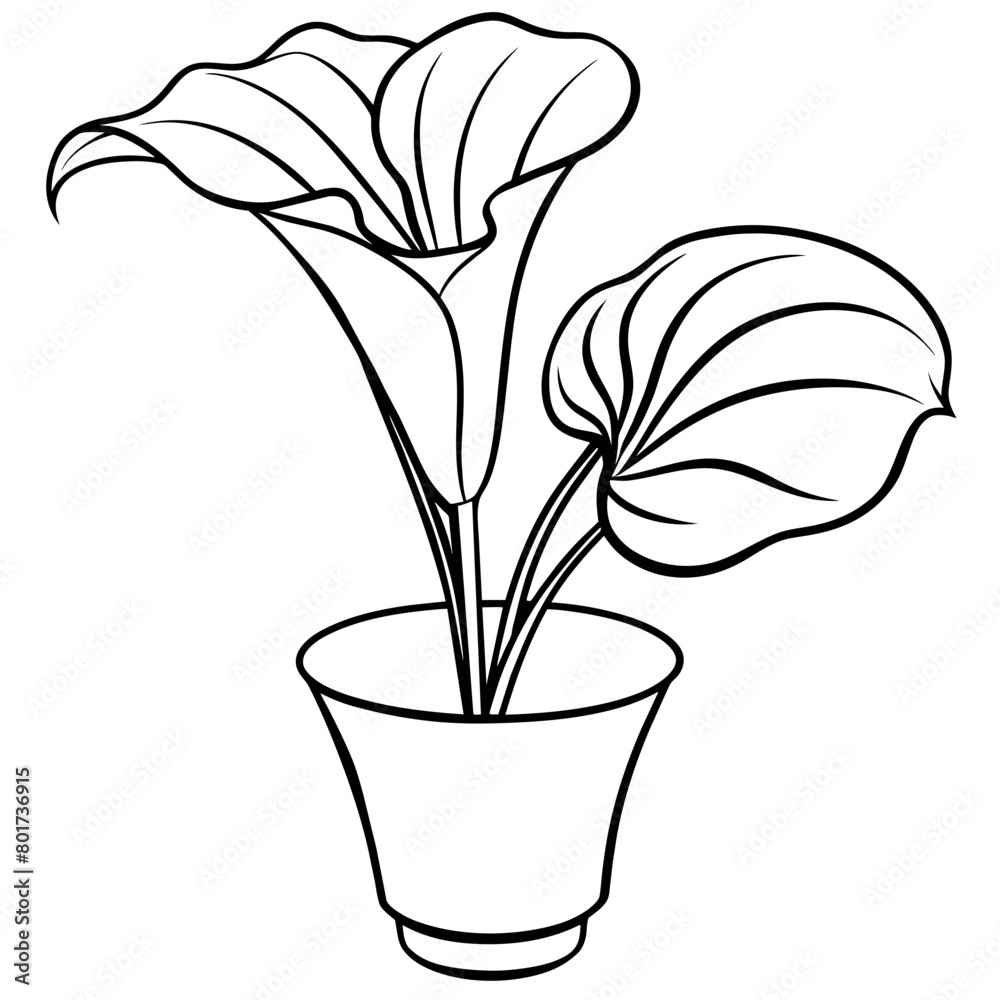 Calla Lily flower on the vase outline illustration coloring book page design, Calla Lily flower on the vase black and white line art drawing coloring book pages for children and adults
