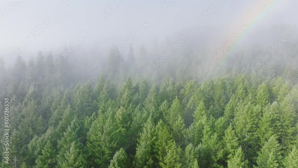 Stunning drone capture of a rainbow arching over a mist-covered forest in Washington, evoking a sense of wonder and natural beauty. Ideal for nature and landscape enthusiasts. 4K footage. Stunning drone capture of a rainbow arching over a mist-covered forest in Washington, evoking a sense of wonder and natural beauty. Ideal for nature and landscape enthusiasts. 4K footage.