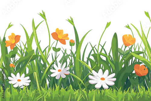 Spring grass and flowers, Beautiful green grass and white flowers, Green summer scene with flowers, Natural green grass with flowers, Vector illustration
