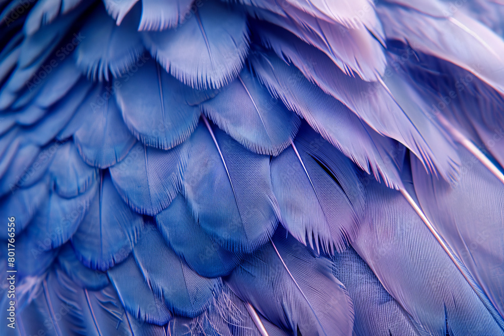 A close up of a bird's feathers, with a blue hue dominating the scene A close up of a bird's feathers, with a blue hue dominating the scene