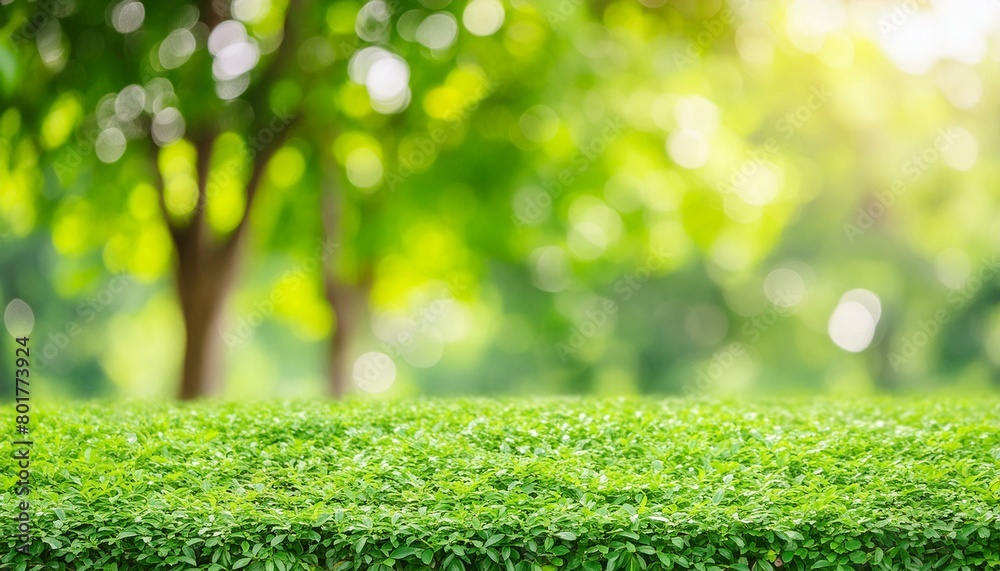 Obraz premium Jade Oasis: Green Bokeh Bliss in Nature's Embrace