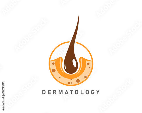 Hair clinic icon of dermatology and trichology medicine for follicle grow, vector emblem. Hair care salon, cosmetic treatment and transplantation and trichologist clinic symbol of hair follicle growth