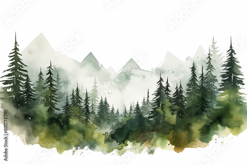 Mountain landscape with pine forest  in watercolour technique