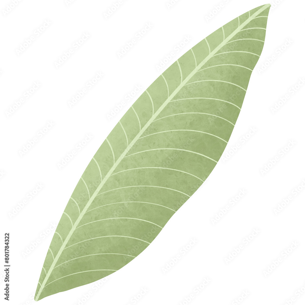 Obraz premium Summer Vacations Drawing Set