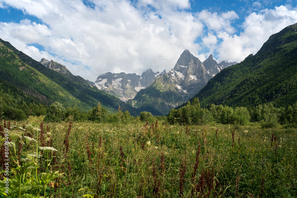 View of the floodplain of the Gonachkhir River in the northern foothills of the Caucasus Mountains near the village of Dombay on a sunny summer day, Karachay-Cherkessia, Russia