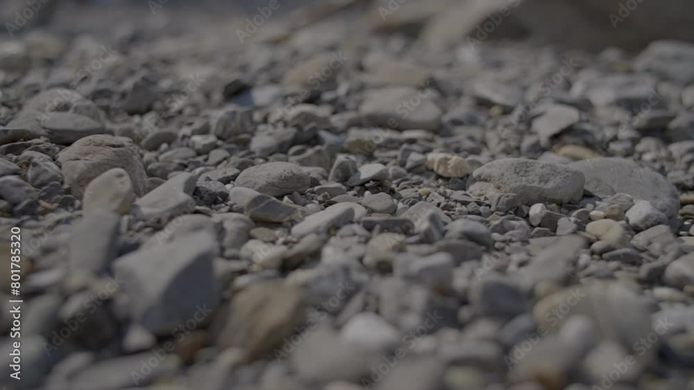 Closeup of rocks on bedrock, with asphalt and grass in monochrome photography Closeup of rocks on bedrock, with asphalt and grass in monochrome photography