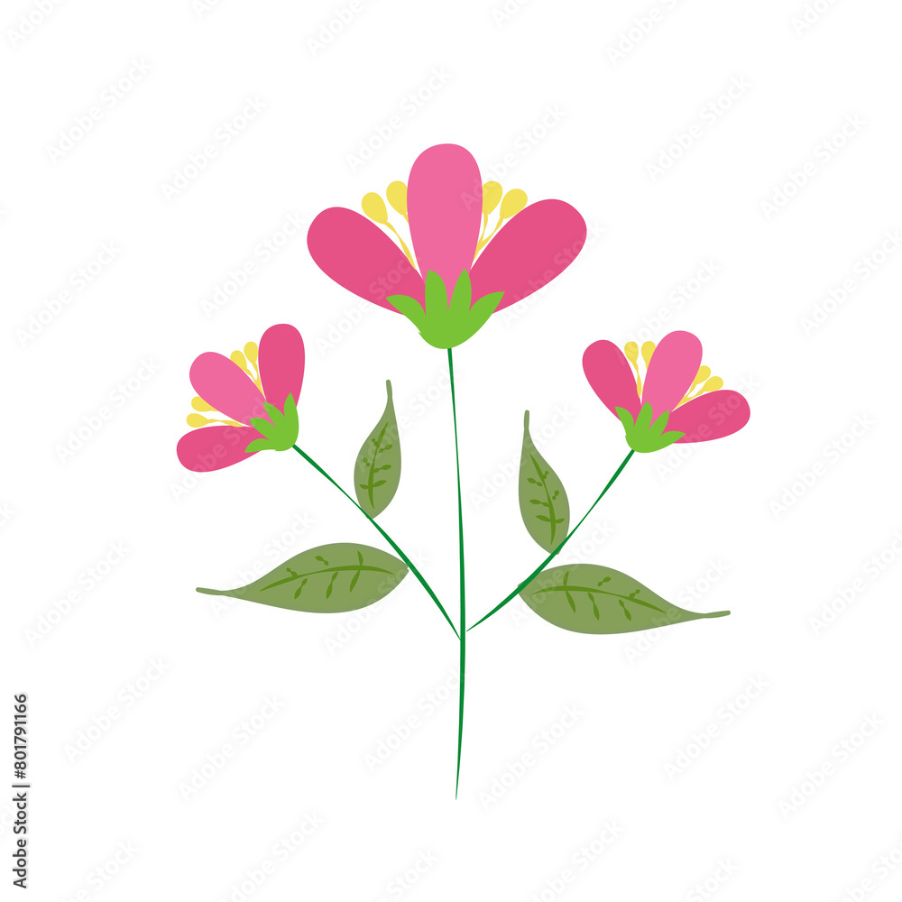Fototapeta premium Flowers