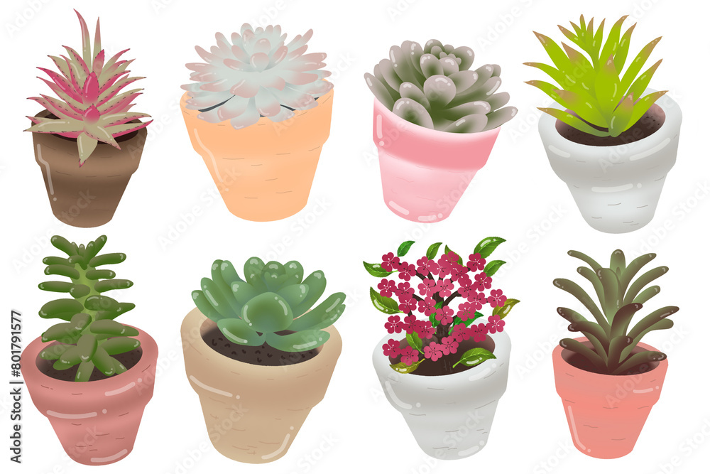 set of cactus in the pot, PNG, transparent background, illustration set of cactus in the pot, PNG, transparent background, illustration