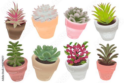 set of cactus in the pot  PNG  transparent background  illustration