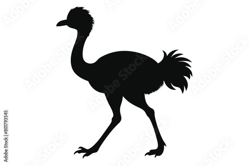 Silhouette of a little ostrich walking vector design © mobarok8888