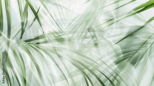 palm leaves in a blurred  green and gray  delicate floral  organic  fluid lines on white background