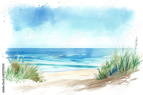 Coastal dune, sea grass, beach on the background of the sea with copy space. Hand drawn watercolor illustration, isolated on white background