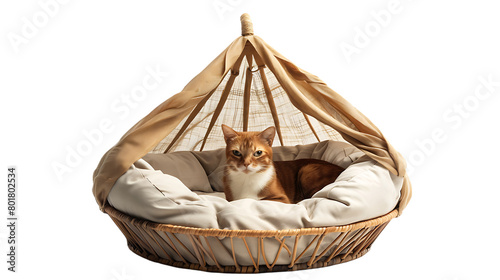 pet canopy bed isolated on transparent background