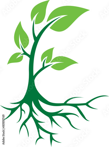 Tree logo template