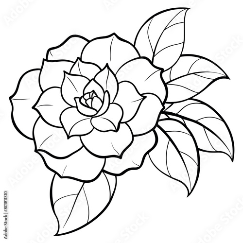 Camellia flower plant outline illustration coloring book page design   Camellia flower plant black and white line art drawing coloring book pages for children and adults