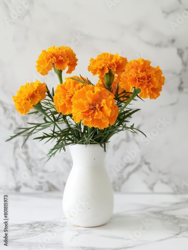 marigolds in a white vase on a white background © STOCKYE STUDIO