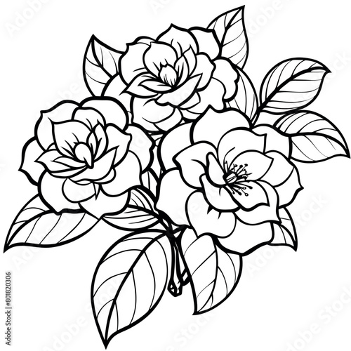 Camellia Flower Bouquet outline illustration coloring book page design  Camellia Flower Bouquet black and white line art drawing coloring book pages for children and adults
