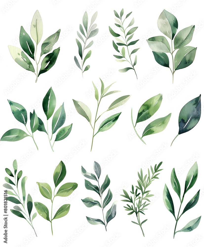 watercolor painting, green foliage and leaves clip art watercolor painting, green foliage and leaves clip art