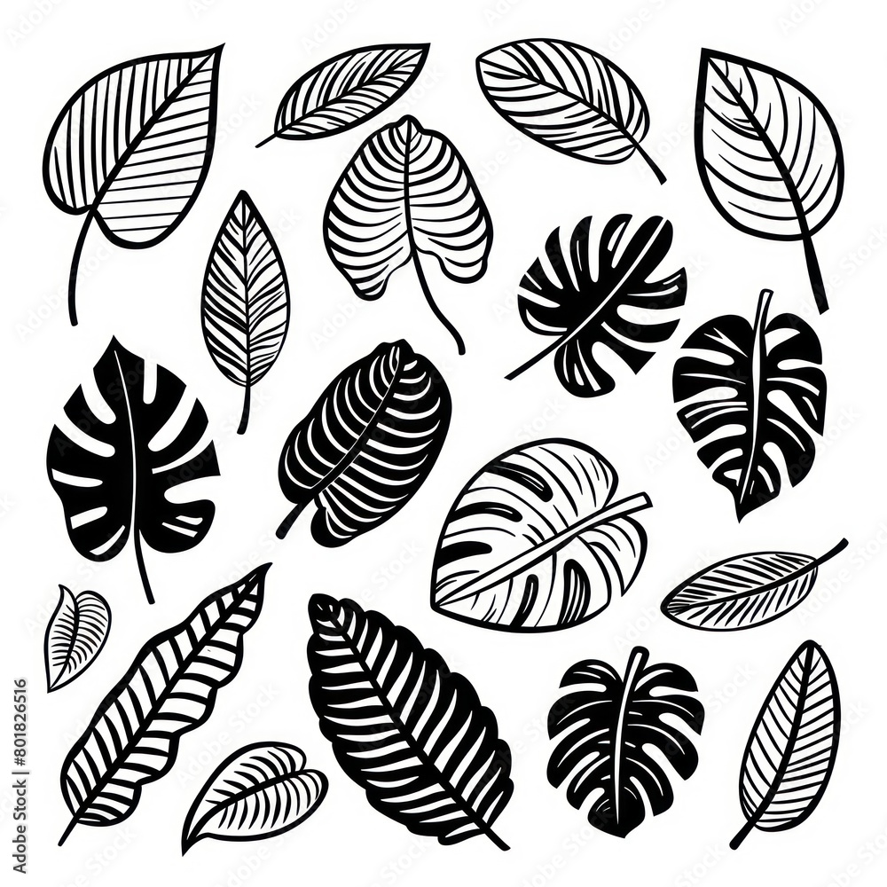 black doodle elements, exotic tropical leaves black doodle elements, exotic tropical leaves