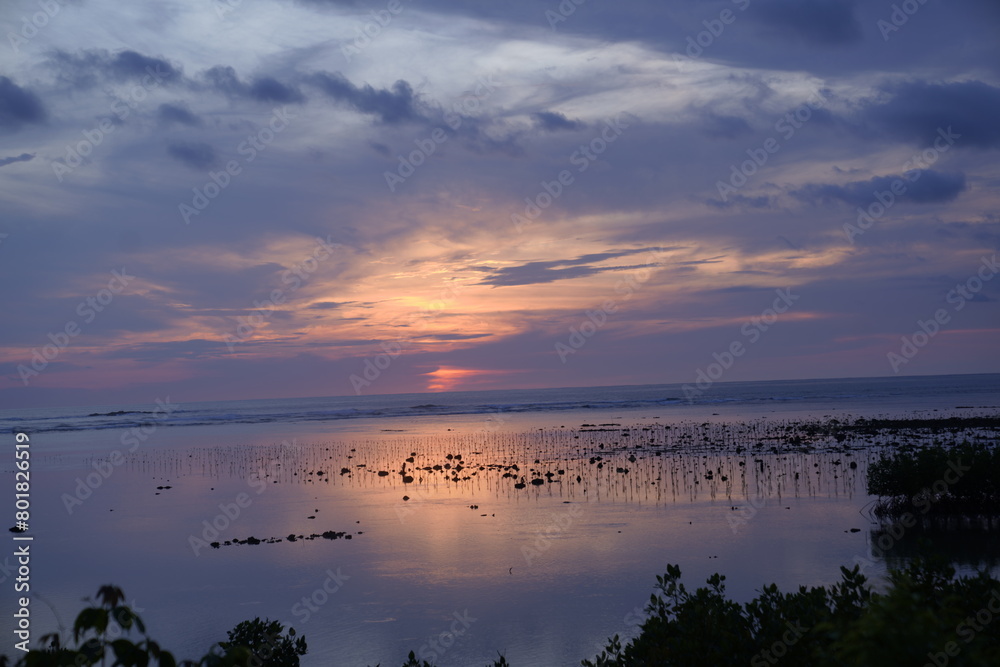 the sunset combined with the vast ocean decorated with views of new mangrove trees growing on the coast,
the sunset combined with the vast ocean decorated with views of new mangrove trees growing on the coast,