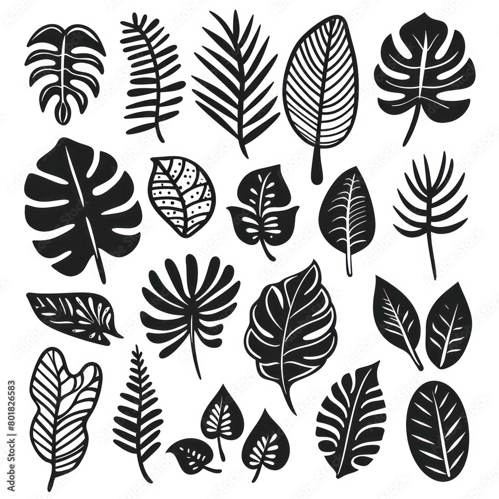 black doodle elements, exotic tropical leaves