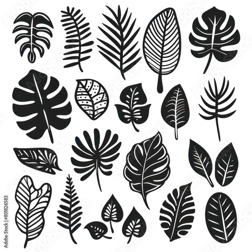 black doodle elements  exotic tropical leaves