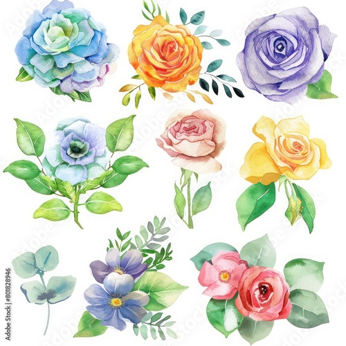 watercolor spring flowers white background