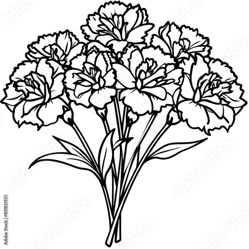 Carnation Flower Bouquet outline illustration coloring book page design  Carnation Flower Bouquet black and white line art drawing coloring book pages for children and adults
