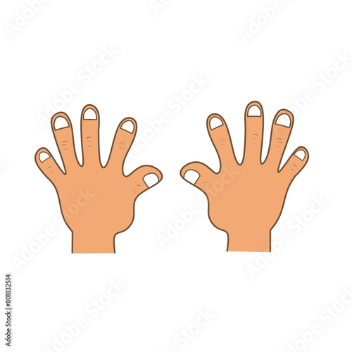 hand vector