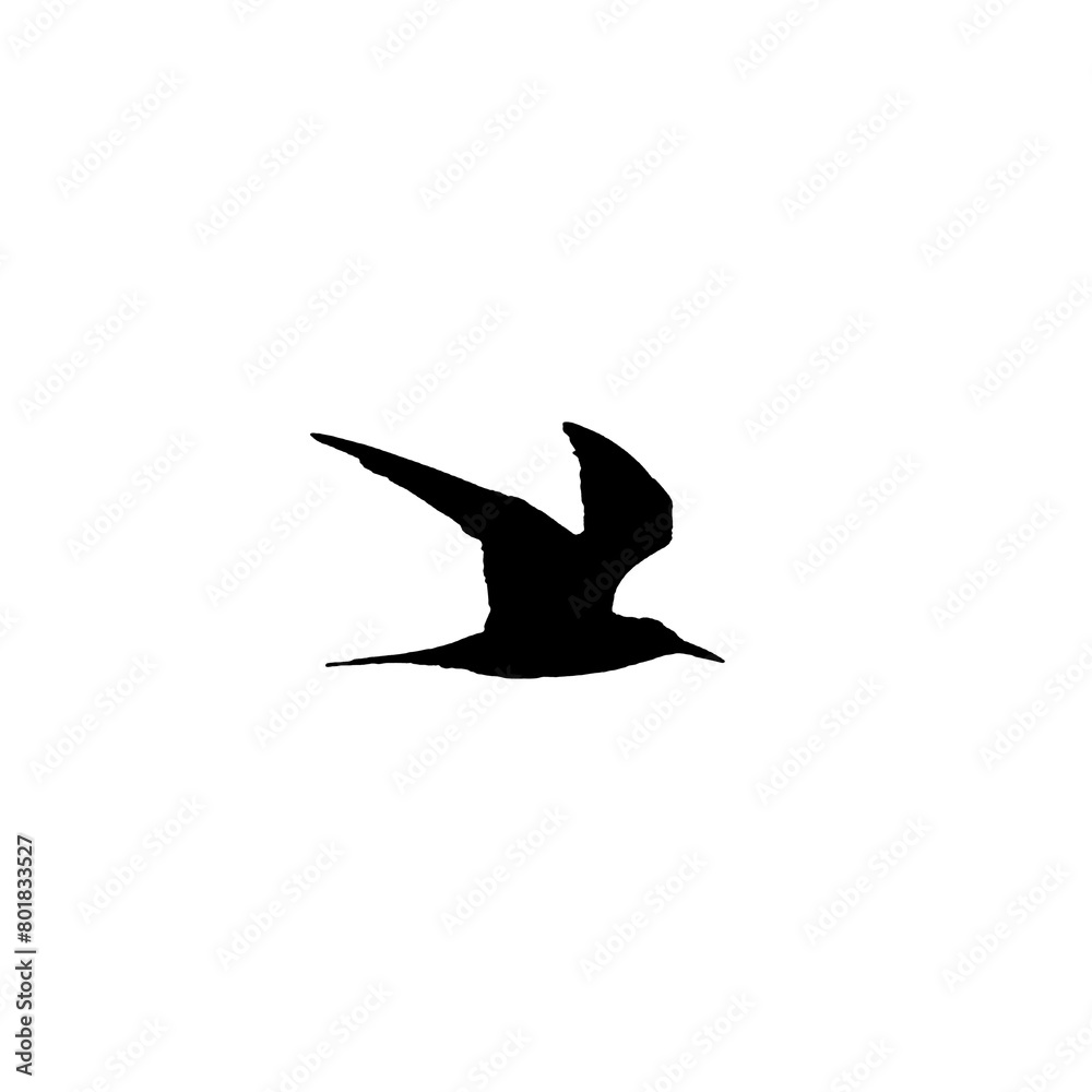 Obraz premium Flying bird silhouette