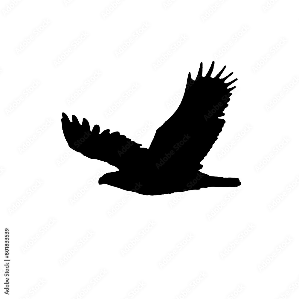 Obraz premium Flying bird silhouette