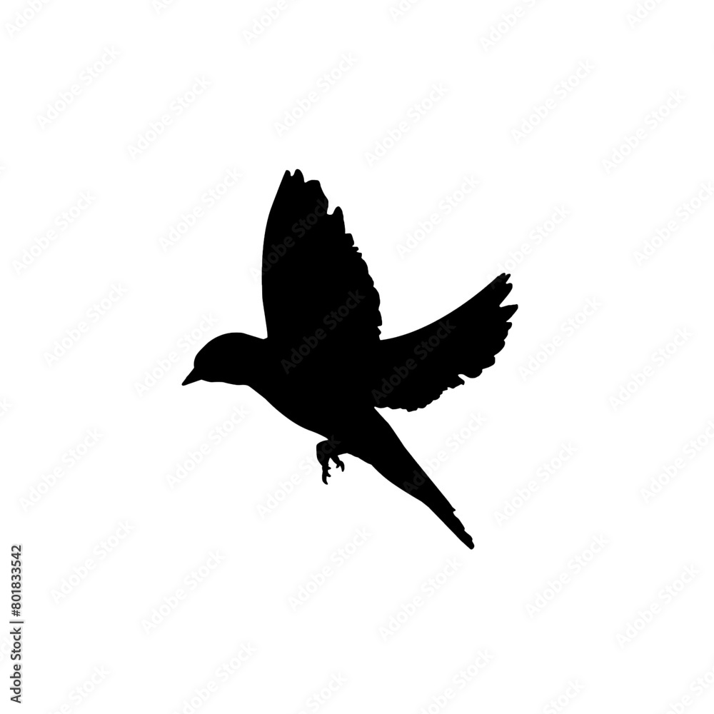 Flying bird silhouette Flying bird silhouette