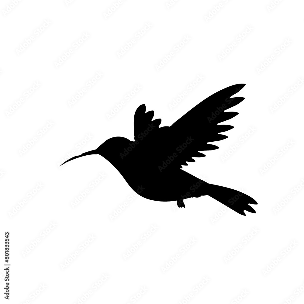 Obraz premium Flying bird silhouette