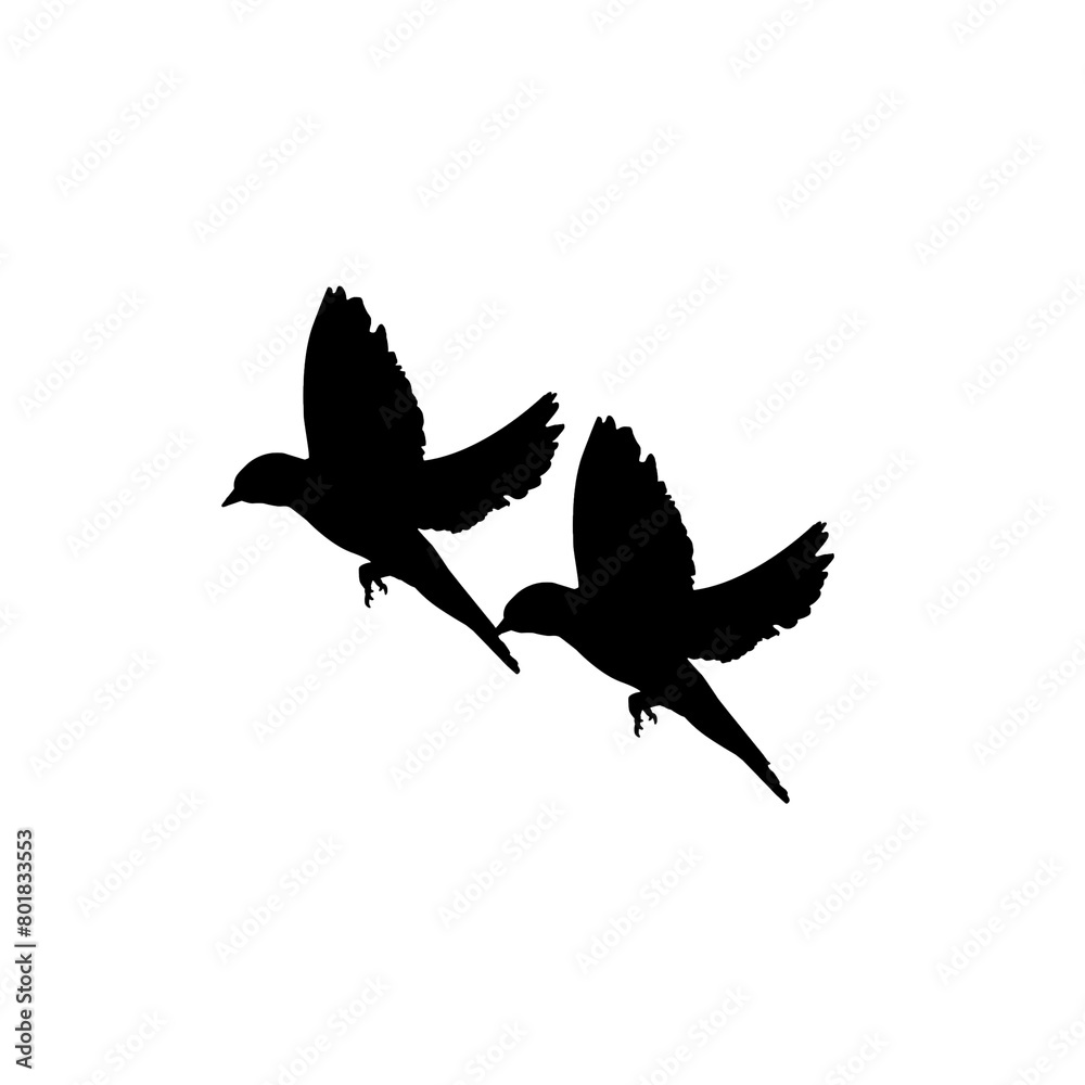 Obraz premium Flying bird silhouette