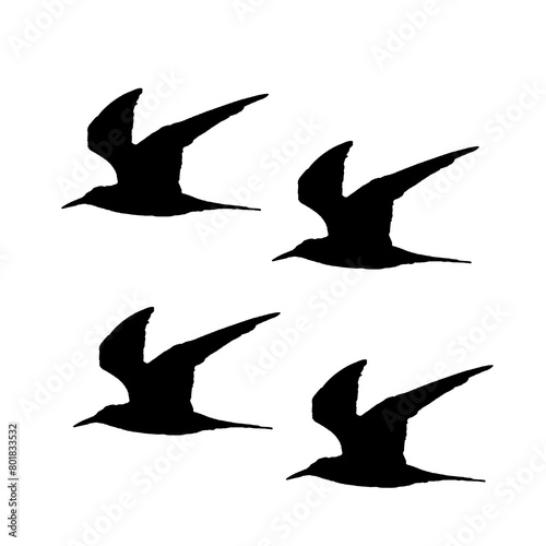 Flying bird silhouette © MDRizoyanurZaman