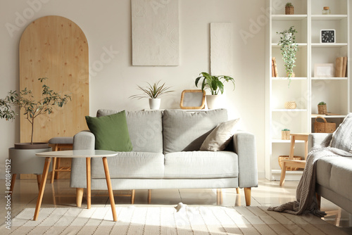 Interior of light living room with green plants, shelf unit and sofa