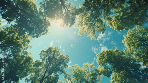 Carbon Neutrality Concept: Sky & Trees from Below hyper realistic 