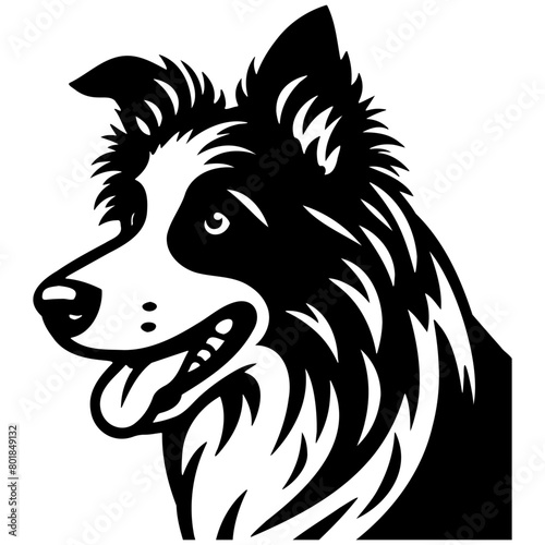 Border Collie Dog Illustration.